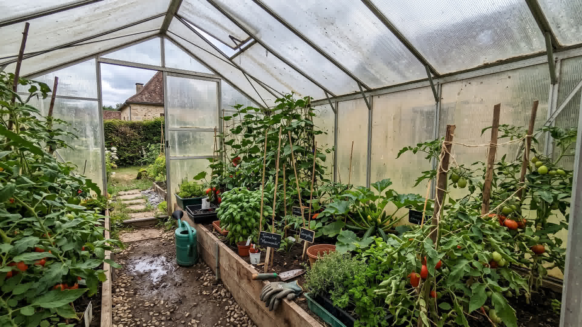 Serre de jardin avec panneaux en polycarbonate dans un jardin français avec légumes à l'intérieur